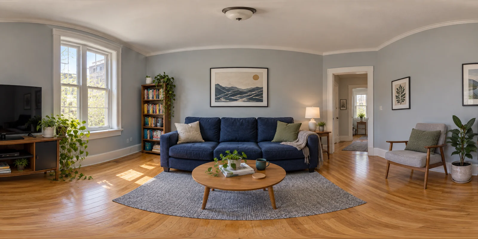 Living room before, with gray walls and a small rug